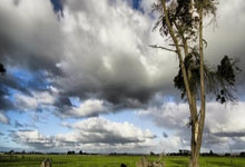 直播平台-阿斯顿马丁鏖战红牛二队，汉密尔顿刷新纪录的简单介绍