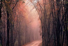 足球直播吧-阿森纳横扫巴萨，弗拉霍维奇统治全场：足球盛宴的新时代到来